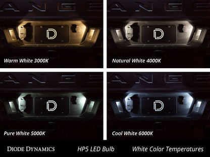 Diode Dynamics 194 LED Bulb HP5 LED - Cool - White (Pair)